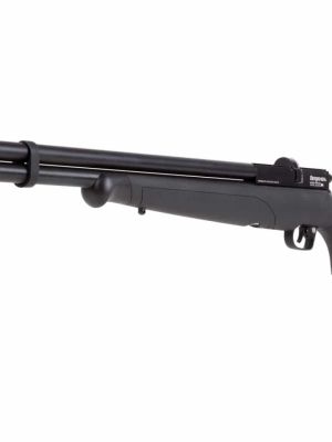 rifle-benjamin-fortitude-g2-pcp-55mm